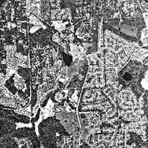 E. Sammamish area of Bellevue-1995